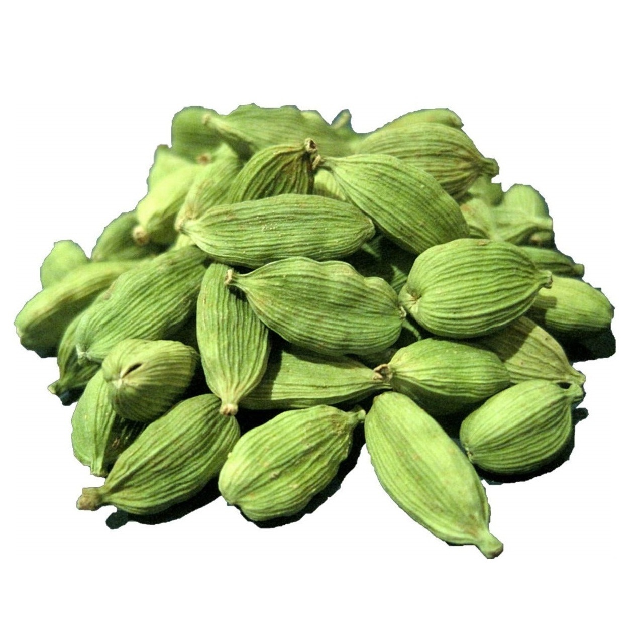 Best Quality Single Spice Taste Cooking Seasoning Pure Green Cardamom from Indian Manufacturer