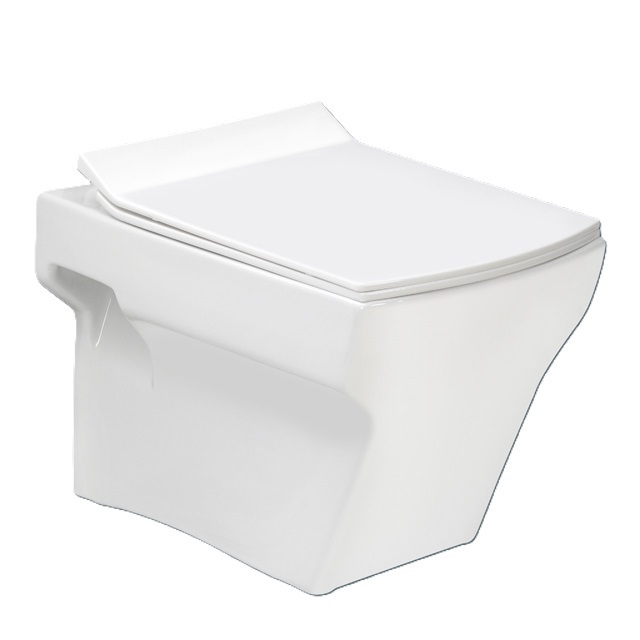 India's Hot Selling Wall Hung Toilet with Cyclone Flushing at a Very Cheap Price