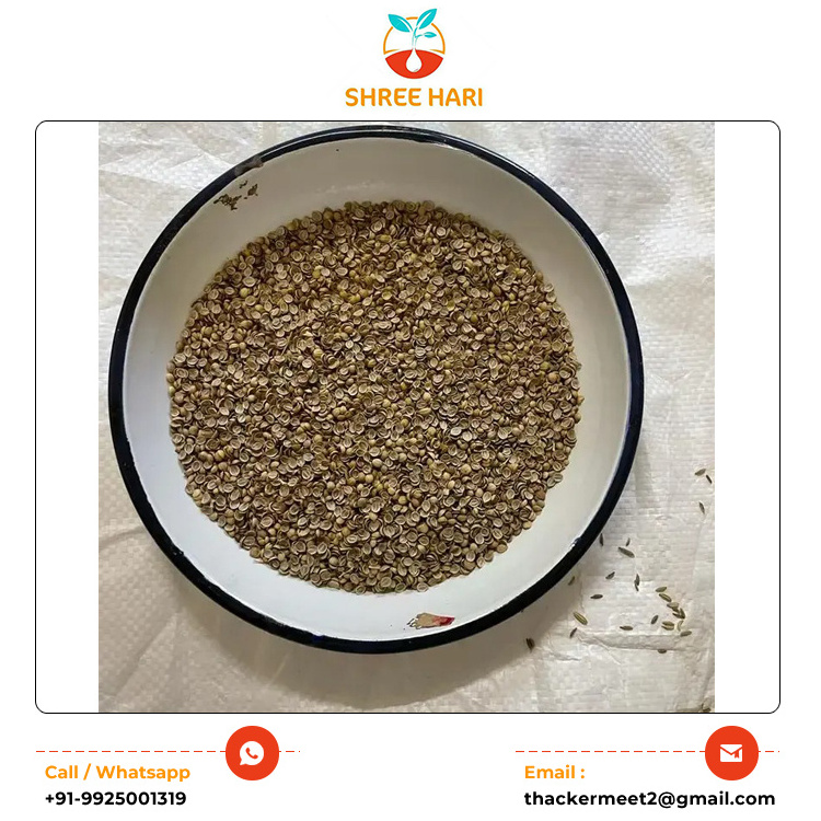 High Quality Sortex Cleaned Split and Whole Single Spices Dry Coriander Seeds Available from Wholesale Indian Manufacturer