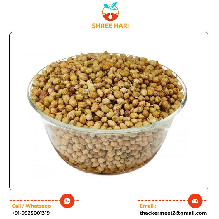 High Quality Sortex Cleaned Split and Whole Single Spices Dry Coriander Seeds Available from Wholesale Indian Manufacturer