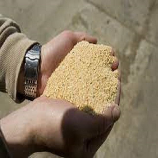 High Protein Quality Soybean Meal / Soya Bean Meal for Animal Feed Factory Prices Powder 100 Percent Protein