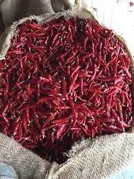 Wholesale Prices Premium Quality Teja Dried Red Chilli with Stem Use for Spices Available at Export Price