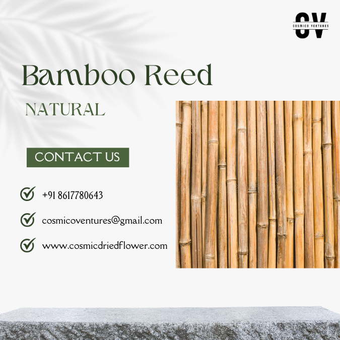 100% Natural Eco-Friendly Raw Bamboo Sticks Poles Original Reed Bamboo Stakes in Various Sizes for Home Decoration