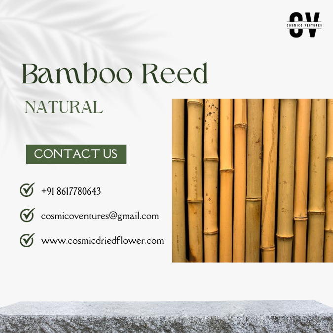 100% Natural Eco-Friendly Raw Bamboo Sticks Poles Original Reed Bamboo Stakes in Various Sizes for Home Decoration