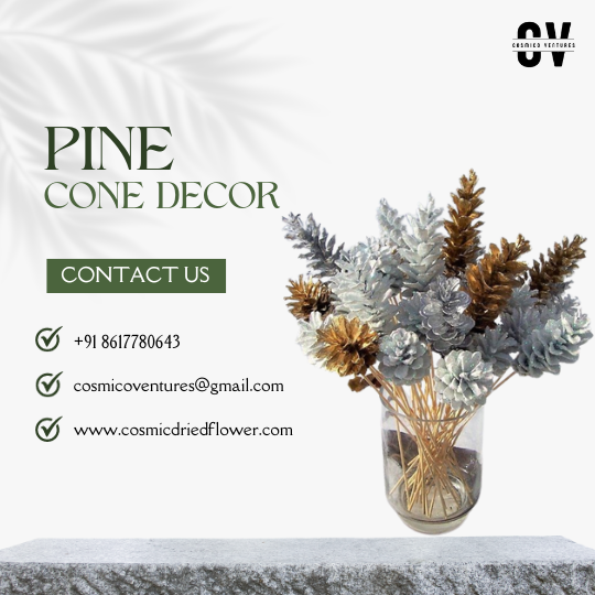 Festive Potpourri Pine Decor: Wholesale Natural Wooden Pine Cones for Christmas & Holiday Decoration