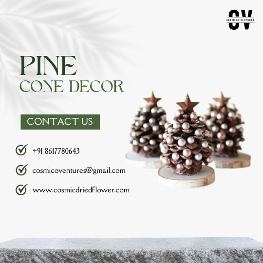 Festive Potpourri Pine Decor: Wholesale Natural Wooden Pine Cones for Christmas & Holiday Decoration