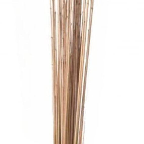 Eco Friendly 100% Natural Cane Original Tonkin Bamboo Garden Stakes For Agriculture Planting