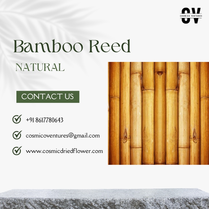 100% Natural Eco-Friendly Raw Bamboo Sticks Poles Original Reed Bamboo Stakes in Various Sizes for Home Decoration