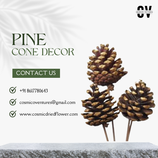 Festive Potpourri Pine Decor: Wholesale Natural Wooden Pine Cones for Christmas & Holiday Decoration