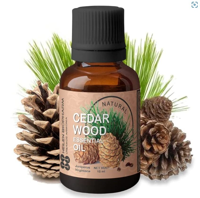 100% Premium Quality Heilen biopharma Cedar Wood Essential Oil 15 Ml Ayurvedic oil indian product best price