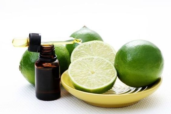 Wholesale Lime Essential Oil High Quality and Concentrated Aroma for Perfumes Aromatherapy and Other Uses