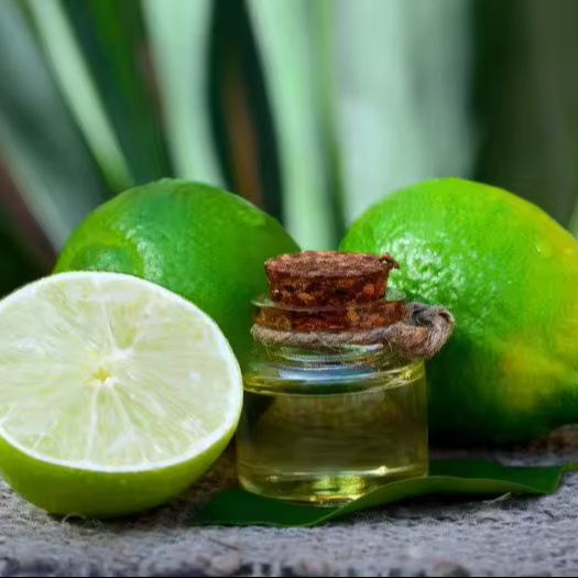 Wholesale Lime Essential Oil High Quality and Concentrated Aroma for Perfumes Aromatherapy and Other Uses