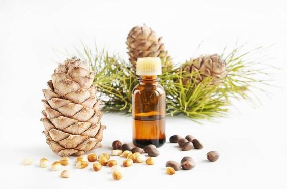 Private Label Cedar Wood Oil Natural Multi-Use for Skincare Hair Care and Aromatherapy by Popular Supplier