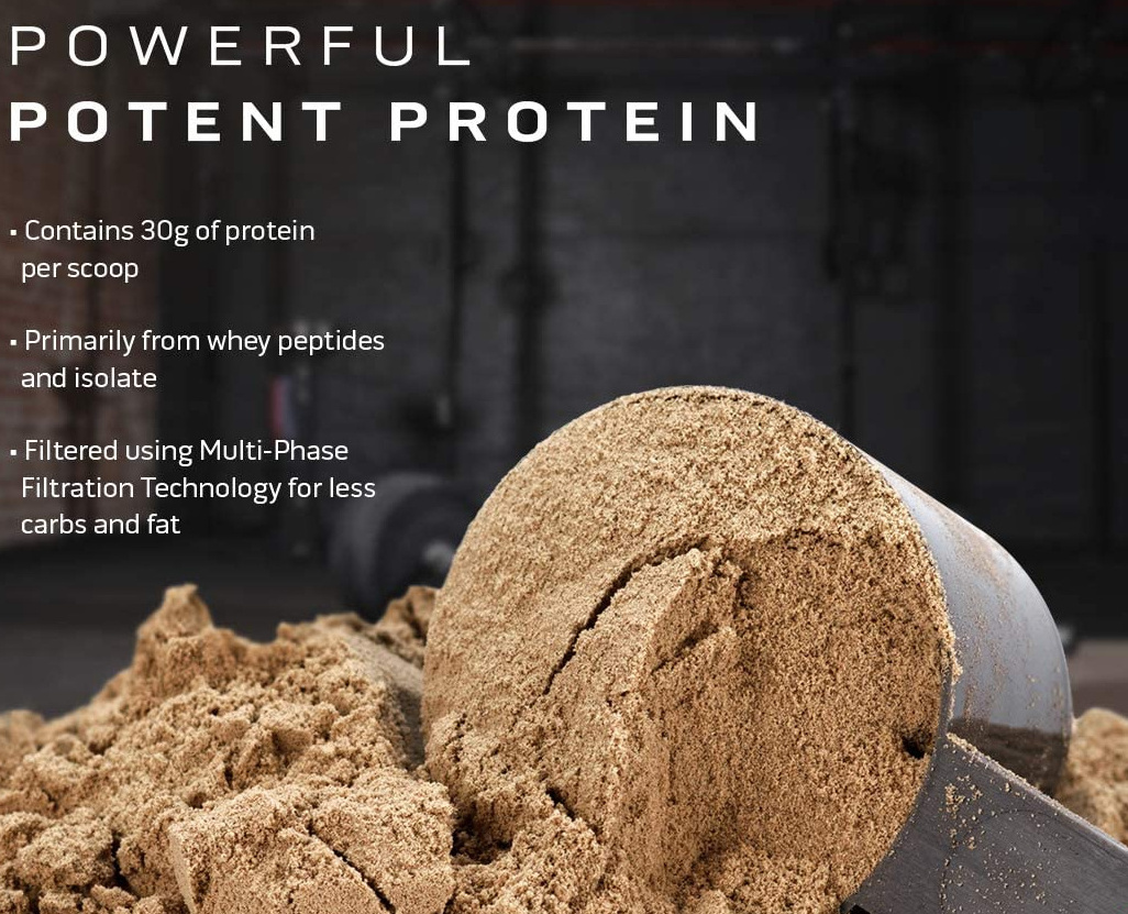 Whey Gold Standard Chocolate Protein Powder 2024 High Quality Protein Supplement Wholesale