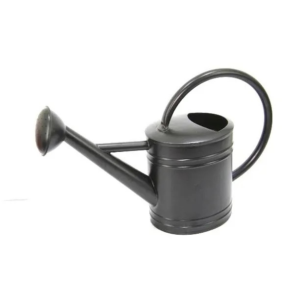 Green Color Finished Iron Plant Watering Can Manufacturer Custom Handmade Iron Metal Plant Watering Can