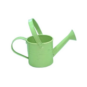 Green Color Finished Iron Plant Watering Can Manufacturer Custom Handmade Iron Metal Plant Watering Can