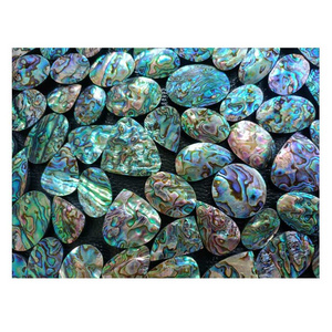 High Quality Abalone shell Gemstone Best Quality Natural Abalone shell Mix Shaped Gemstone For Jewelry Making