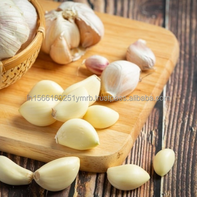 Wholesale 2024 new fresh garlic supplier normal white garlic