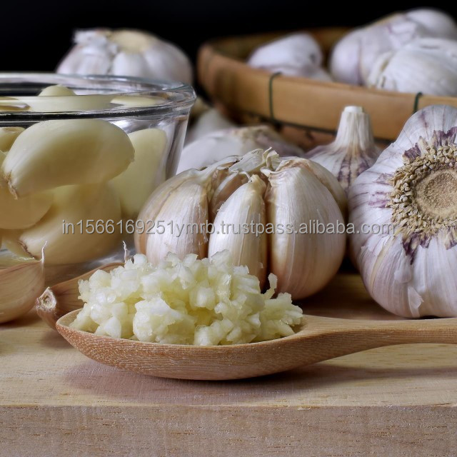 Pure White Garlic/Snow White Garlic