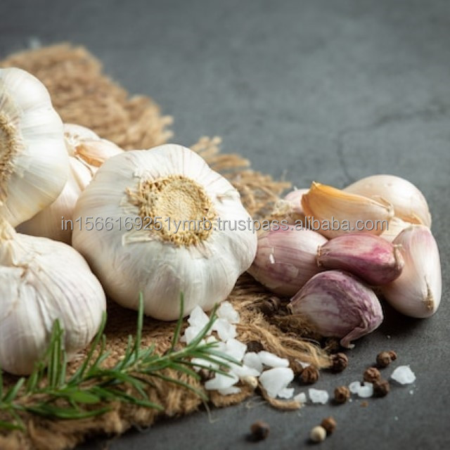 Wholesale 2024 new fresh garlic supplier normal white garlic