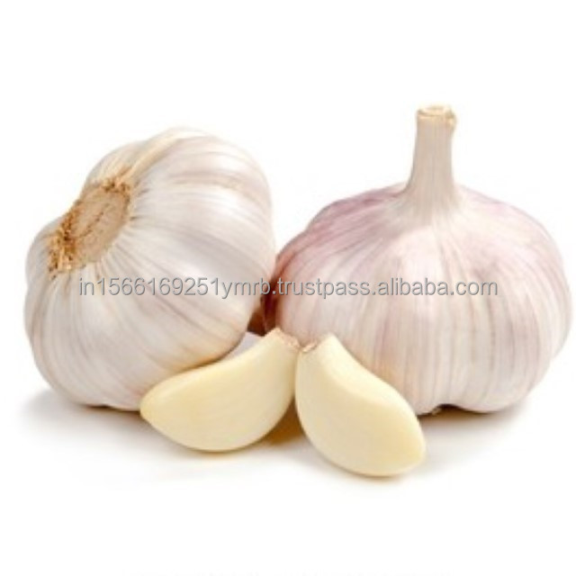 Exporting Garlic Peeled Garlic Frozen Vacuum Packed Peeled Garlic