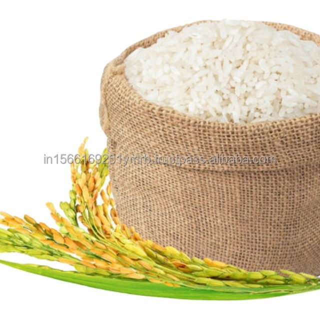 Jasmine Rice Good For Healthy International Standard India Long-Grain Rice White Factory Rice