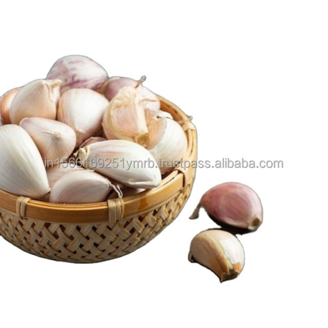 Wholesale 2024 new fresh garlic supplier normal white garlic