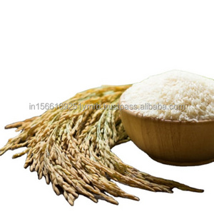 Hot Selling New Crop Jasmine Rice - Premium Grade White Rice