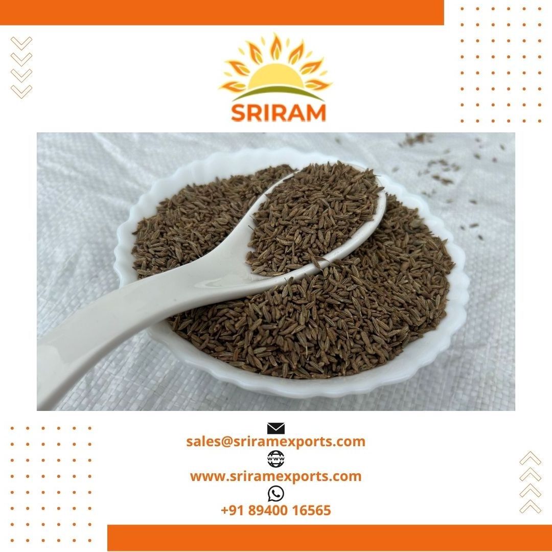 Best quality single spices and herbs cumin seeds jeera suppliers at wholesale price to Saudi Arabia