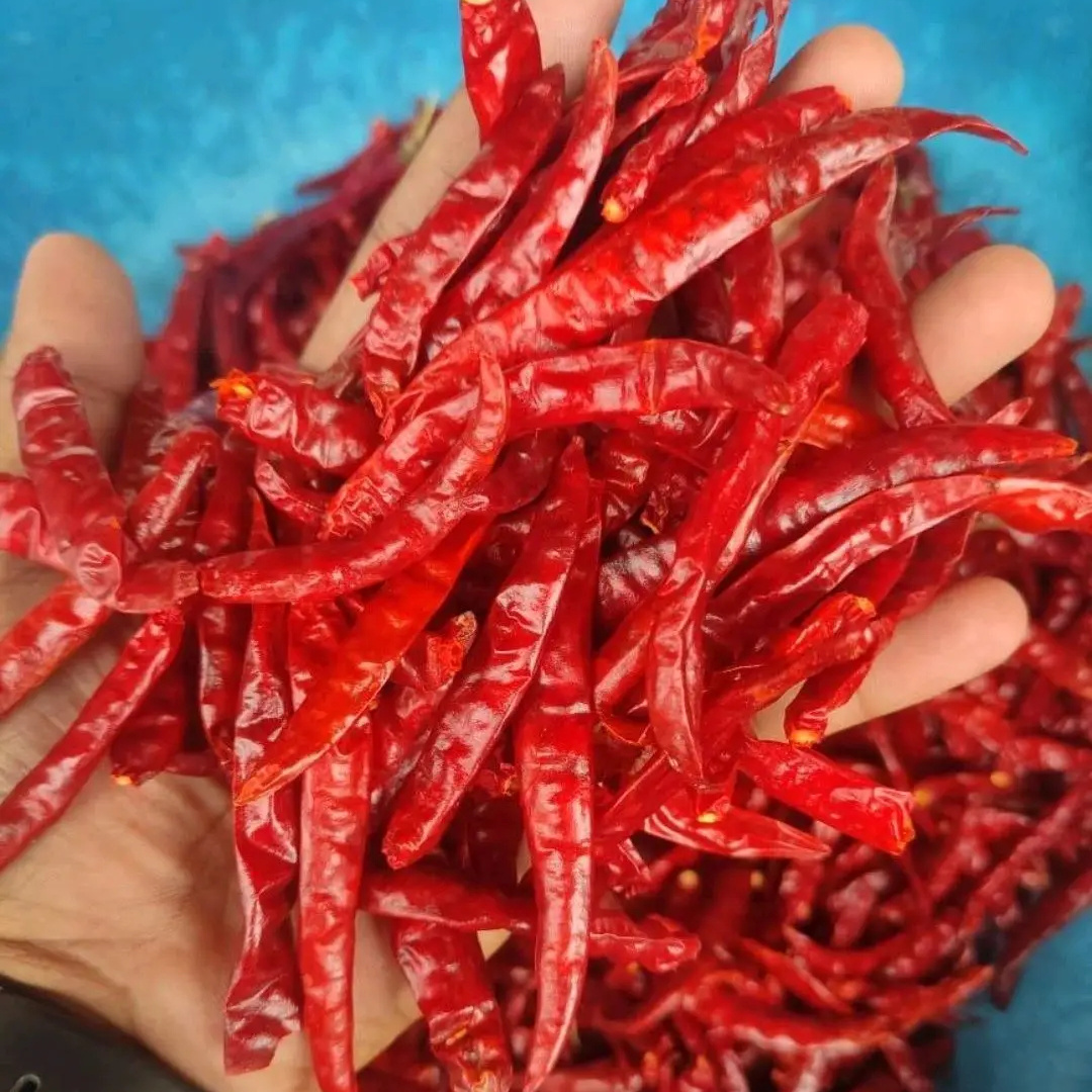 Hot Selling Dry Red Chilli Wholesale Price Fresh Color For Seasoning OEM Packaging from Indian Manufacturer