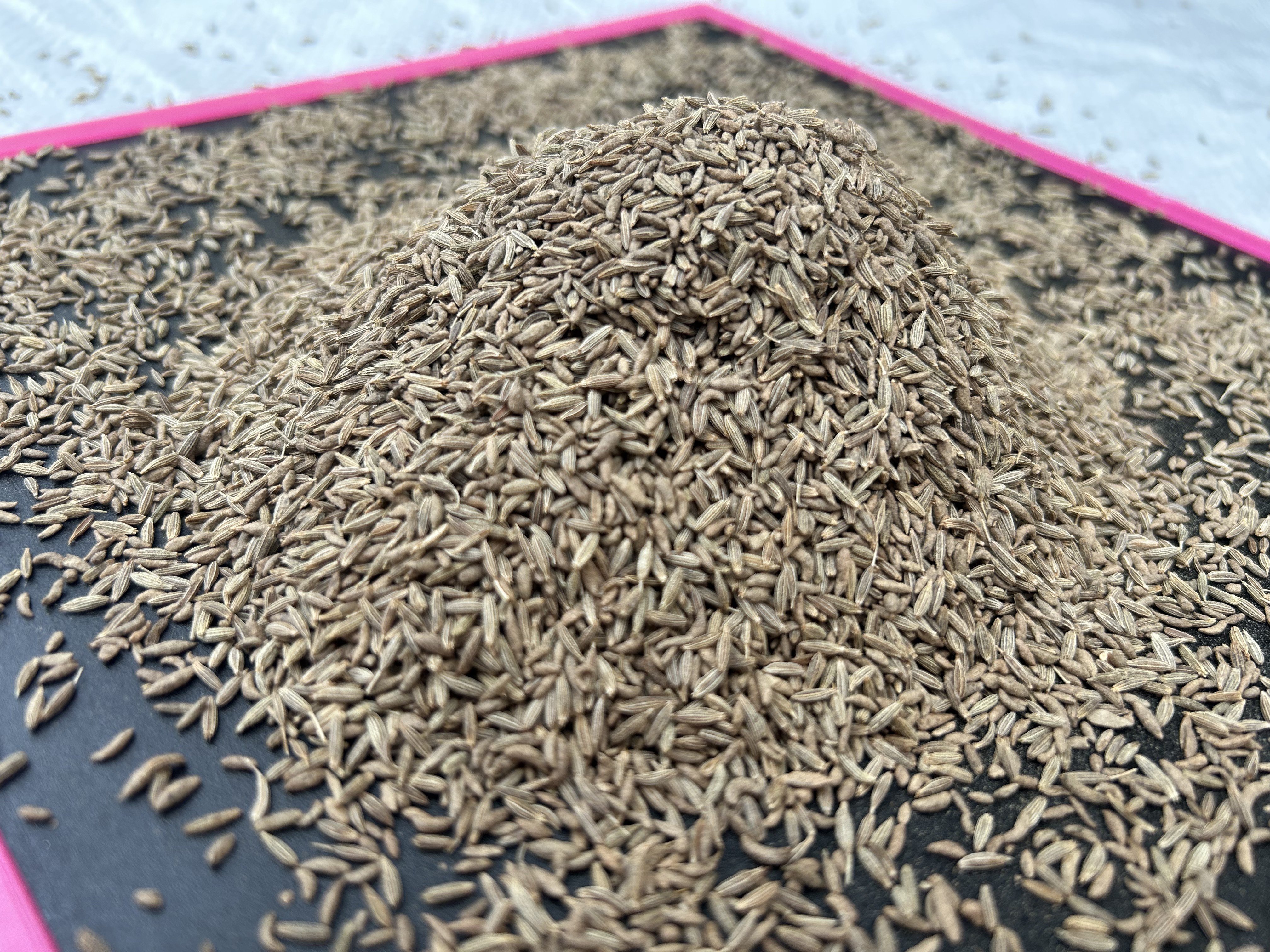 Certified grade 98% purity sortex cleaned Indian cumin long life seeds for food seasoning available.