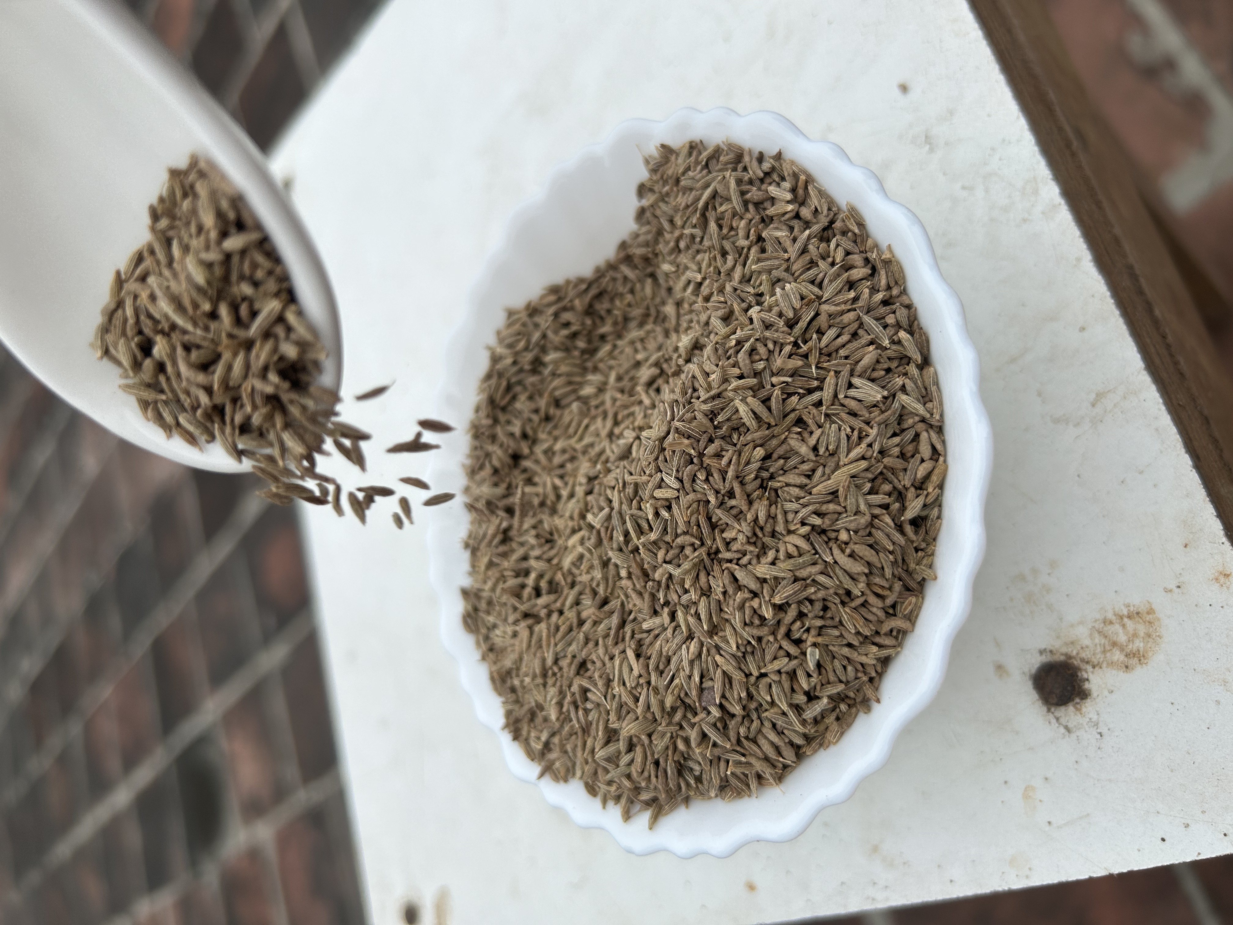 Premium quality 99% purity sortex cleaned single spice Cumin seeds bulk suppliers from India.