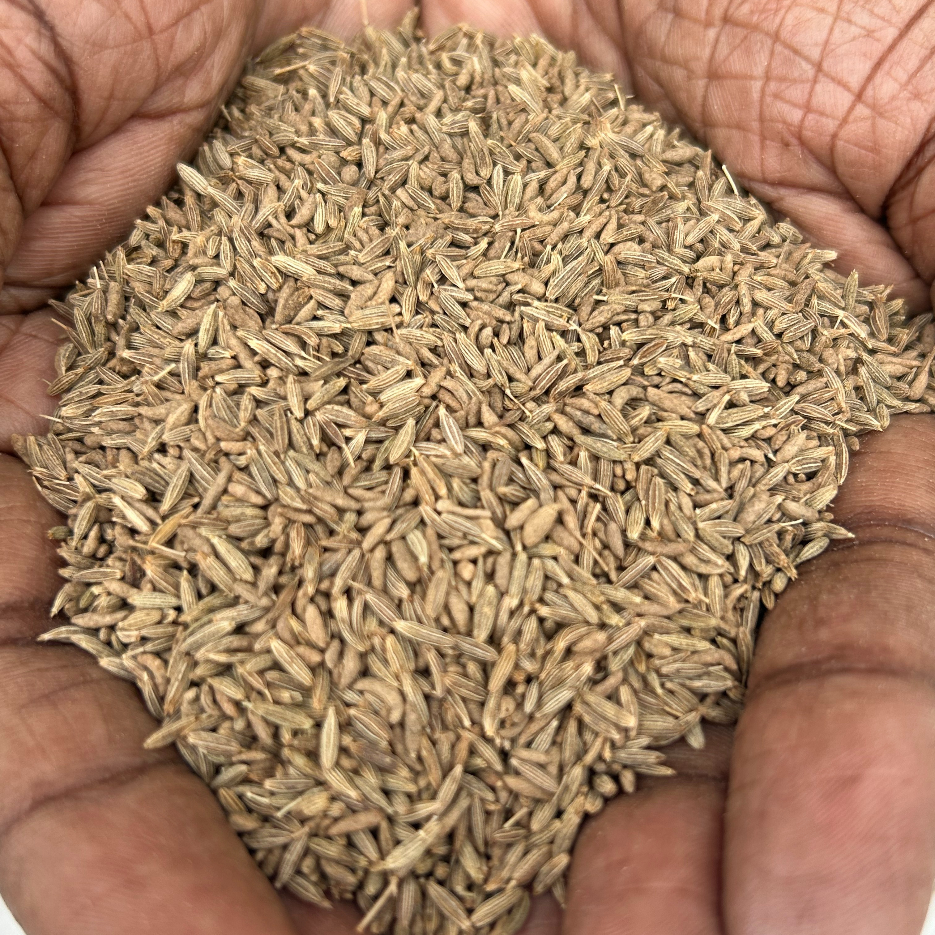 Superior quality 98.5% jeera cumin seeds long shell life bulk suppliers in wholesale price from India.