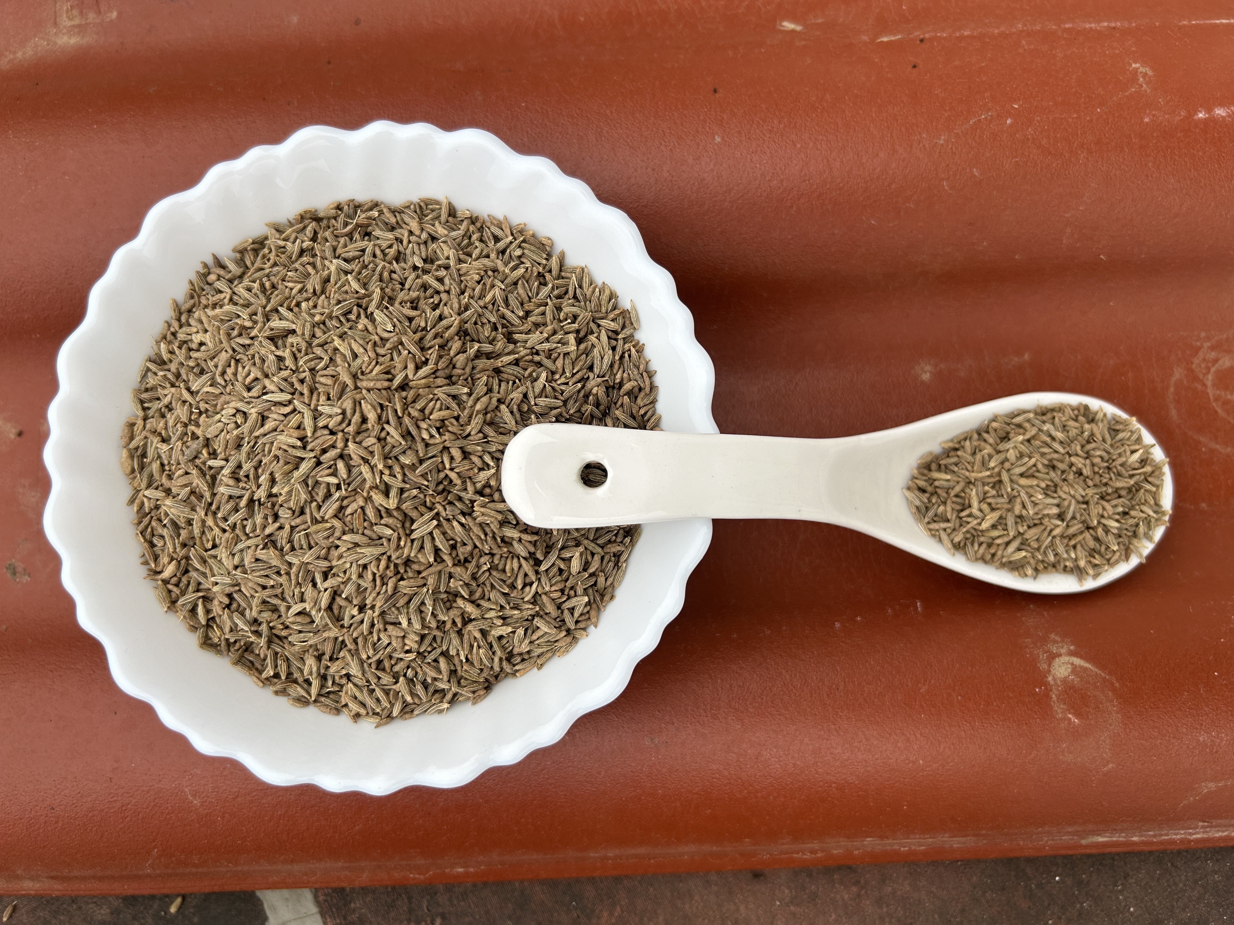 Certified quality factory cleaned 98% purity cumin seeds bulk supply from India.