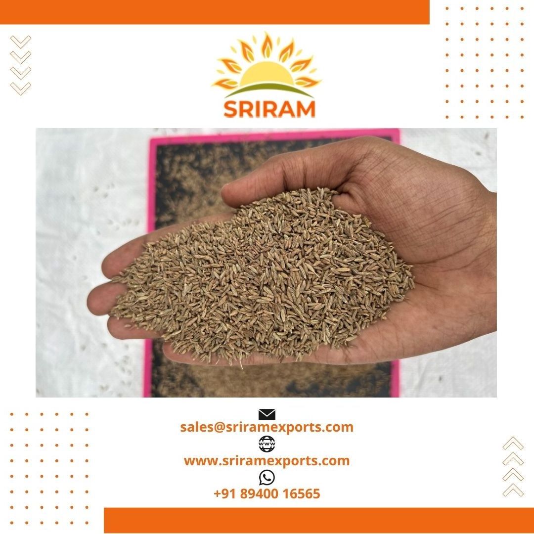 Best quality single spices and herbs cumin seeds jeera suppliers at wholesale price to Saudi Arabia