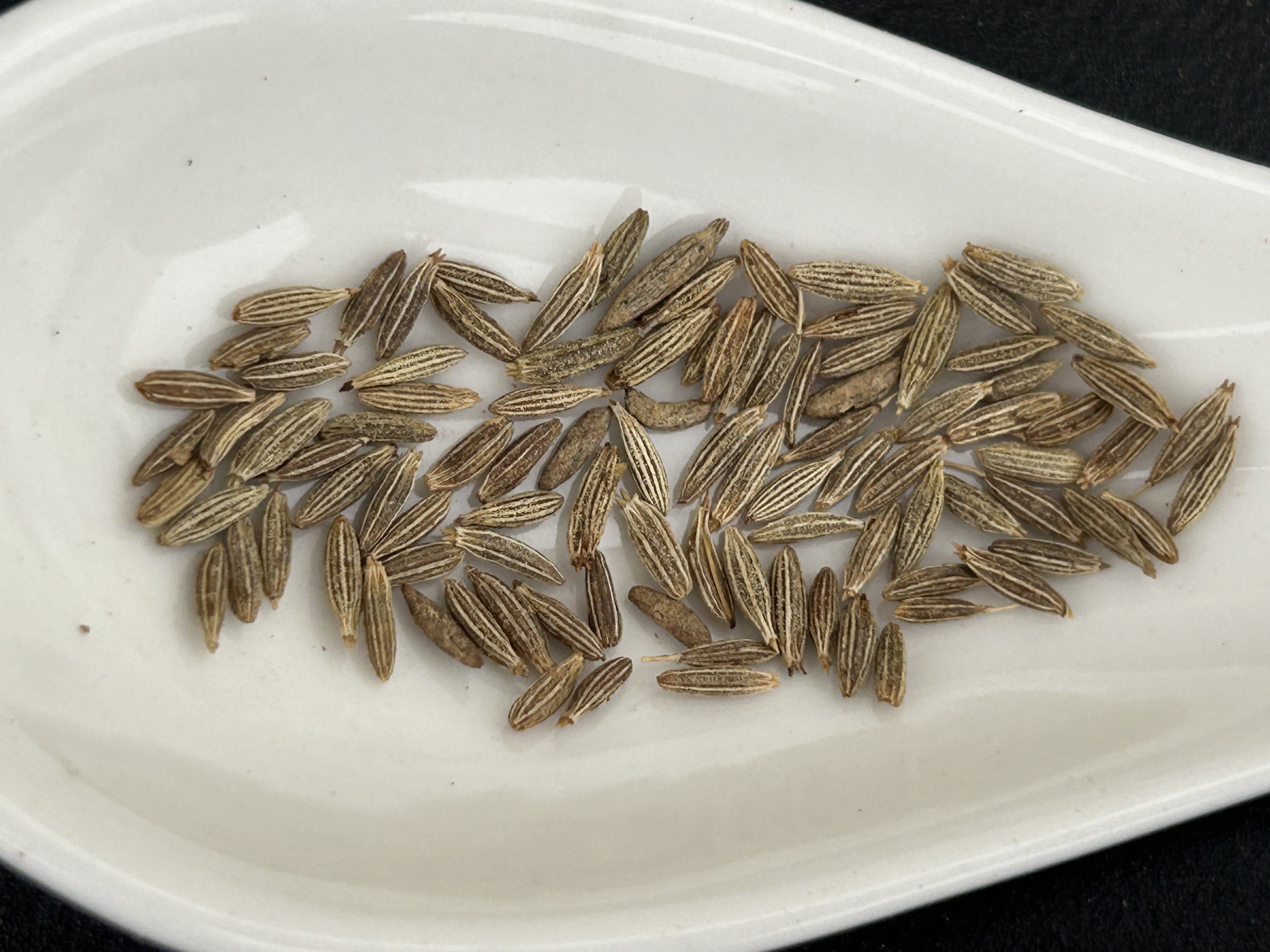 Cumin seeds certified quality 98% purity order at wholesale price from trusted suppliers from India.