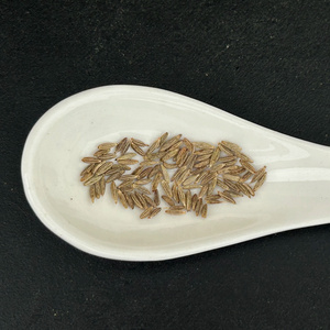 Indian cumin seeds factory sortex cleaned 97.5%,98%,98.5%,99%,99.5% purity available for export.