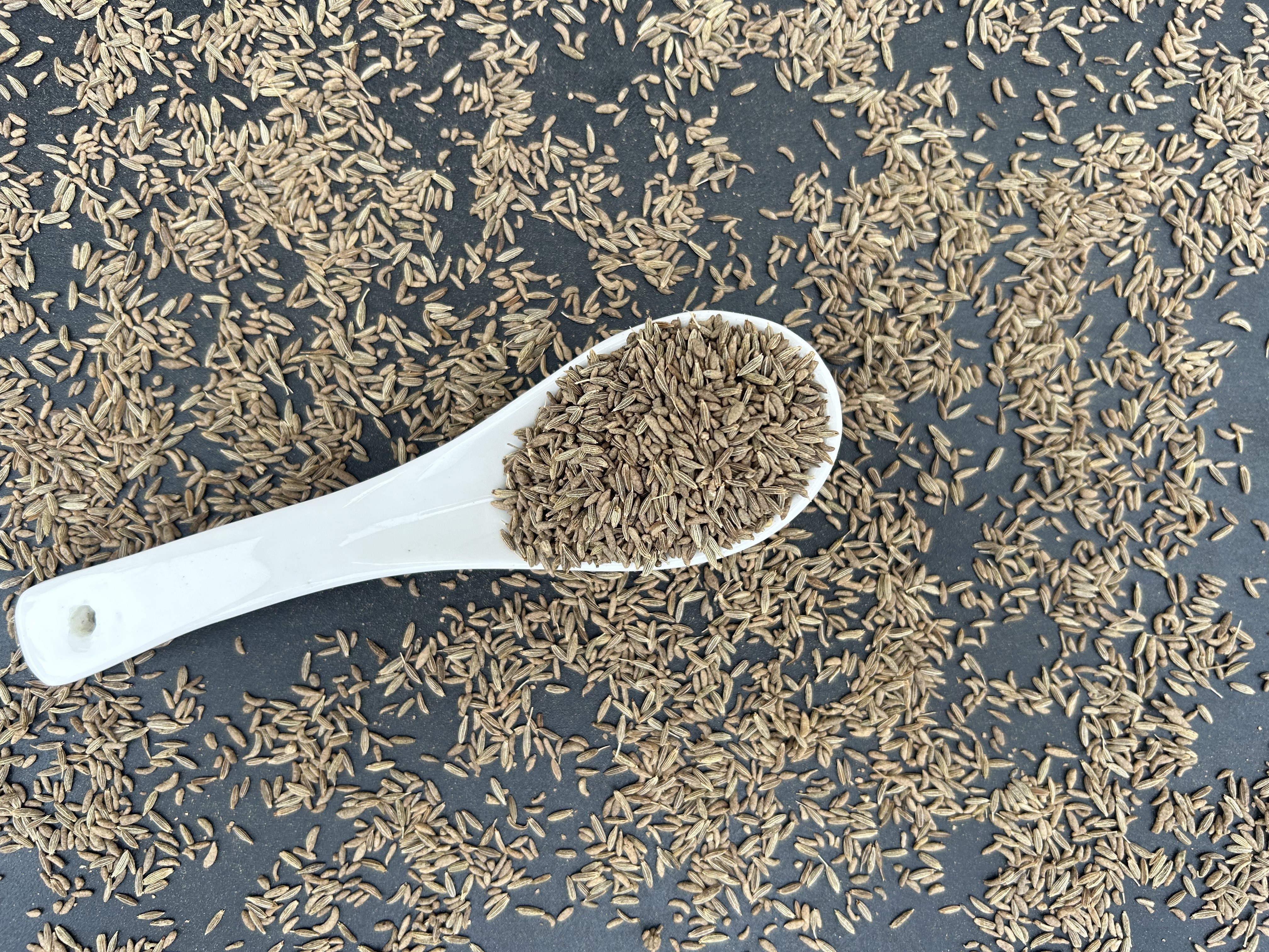 Professional supplier of Indian cumin seeds high quality of 99% purity for food seasoning.