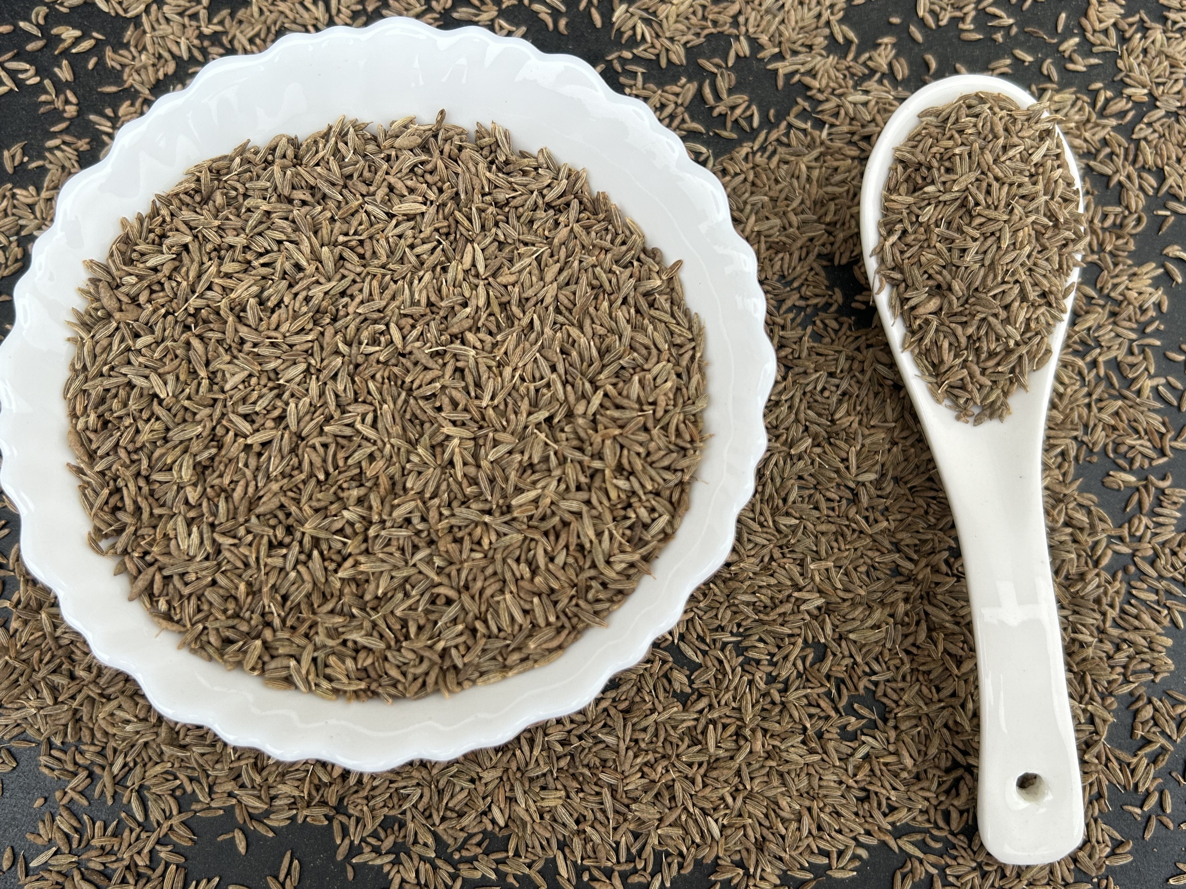 Wholesale price sortex cleaned cumin seeds jeera for food seasoning supply from India.