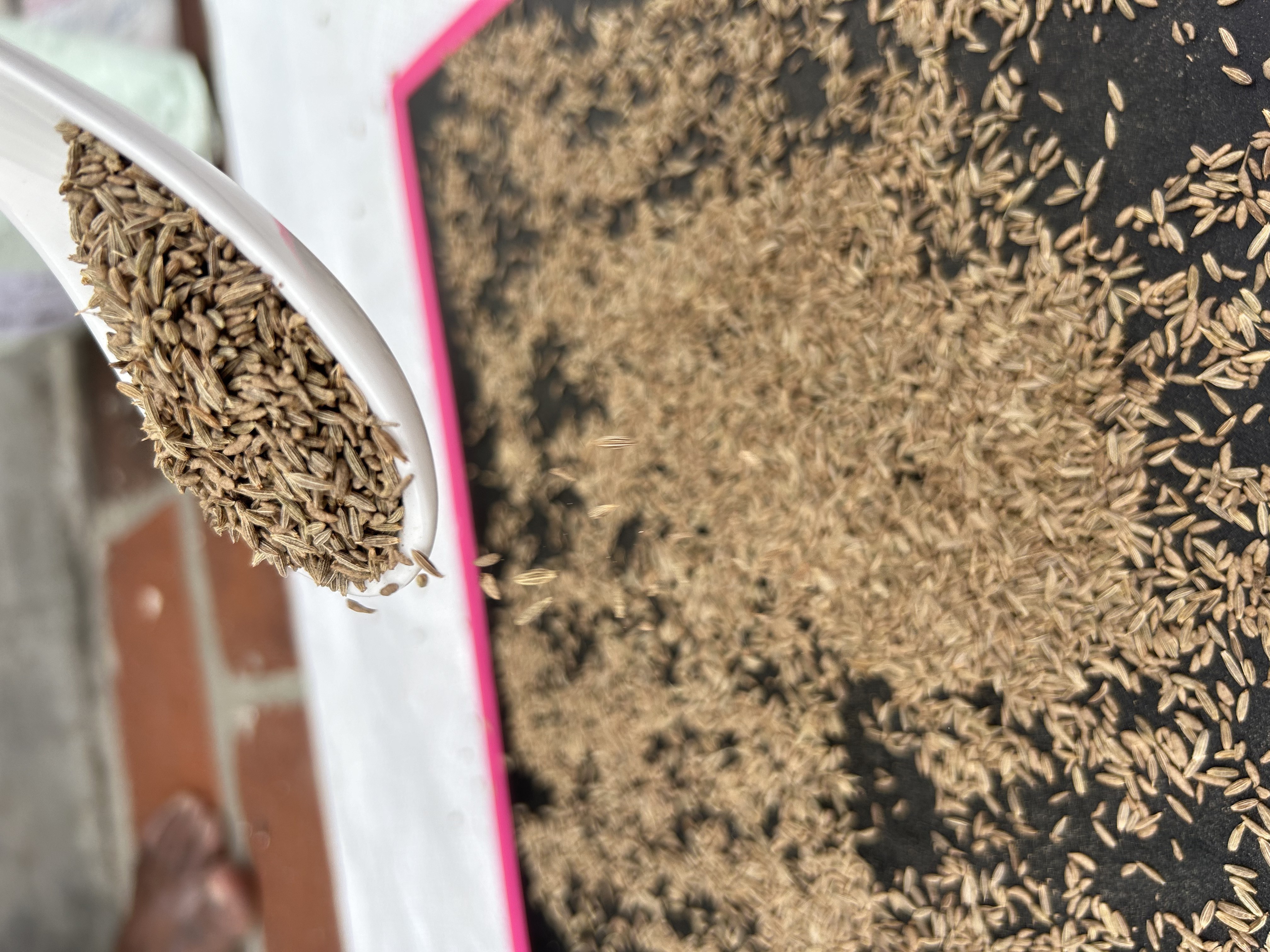 Indian Export quality non-GMO 98% purity cumin seeds supply from trusted wholesaler.