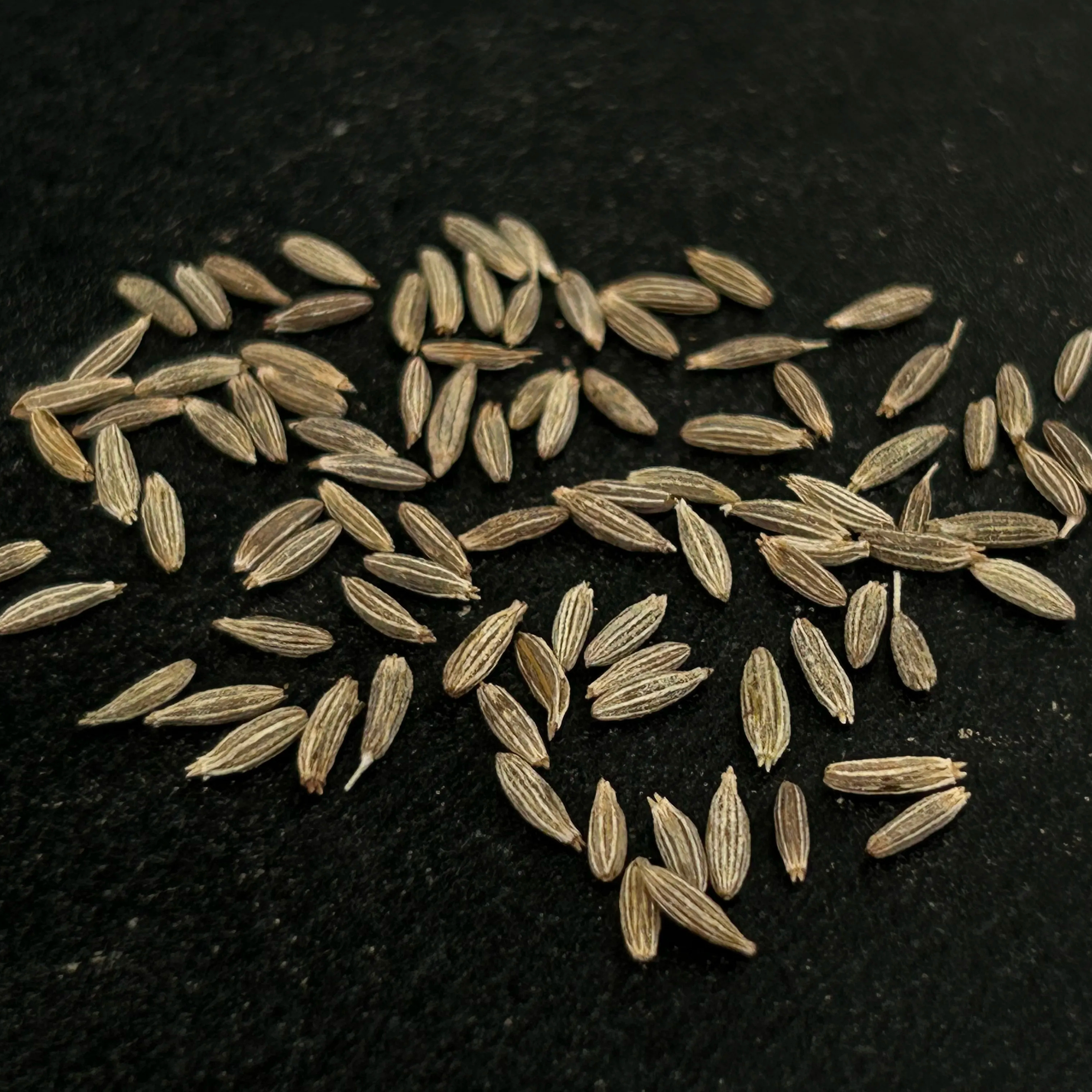 Customized packing for cumin seeds importers available in affordable price from Indian exporters.