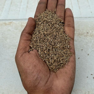 Customized packing Indian cumin seeds jeera 99% purity at wholesale price to bulk importers.