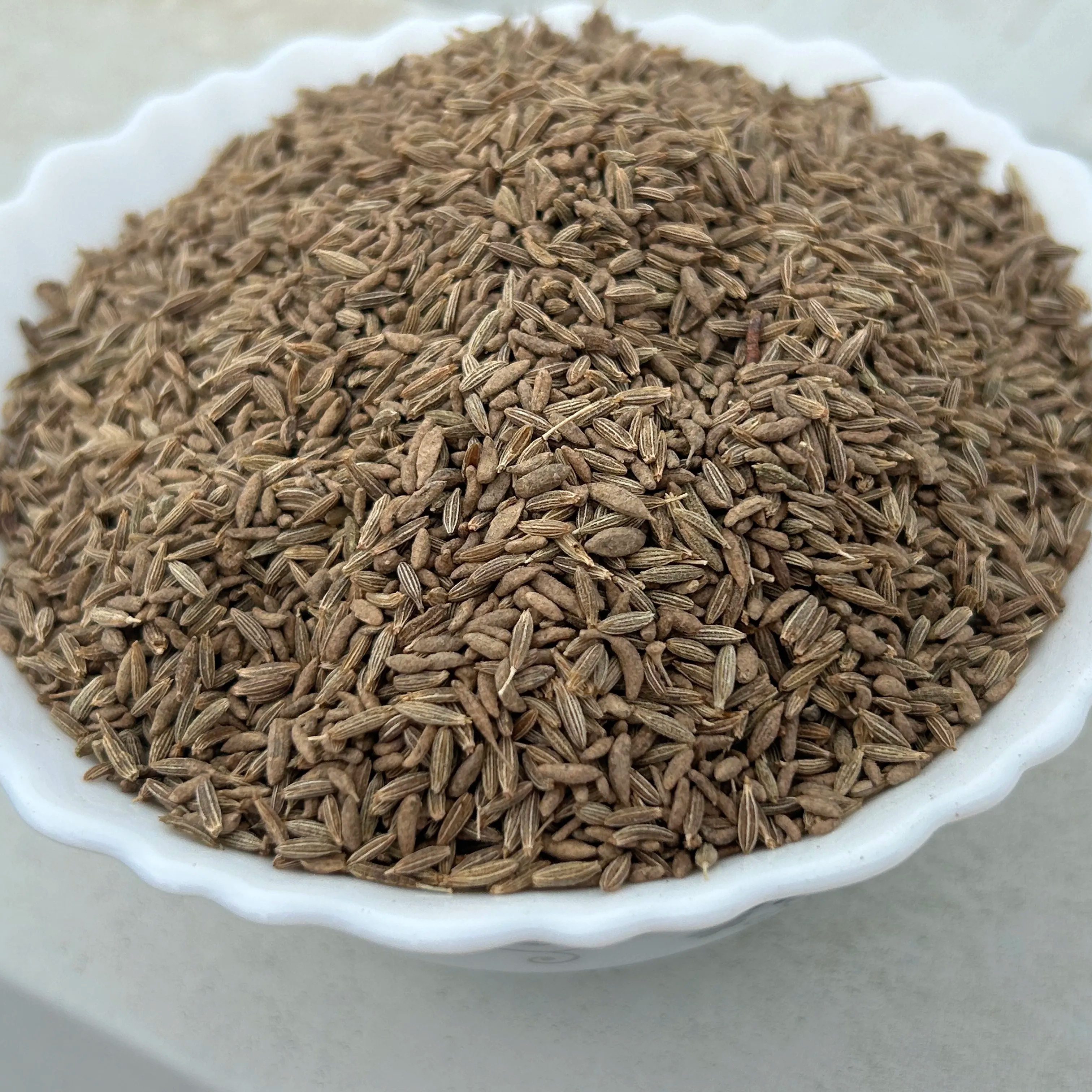 Indian deluxe quality of cumin seeds jeera bulk quantity available at market price for importers.