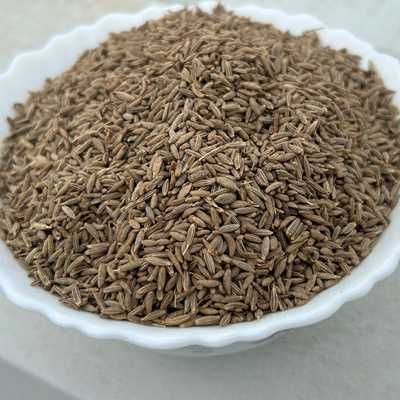 Indian deluxe quality of cumin seeds jeera bulk quantity available at market price for importers.