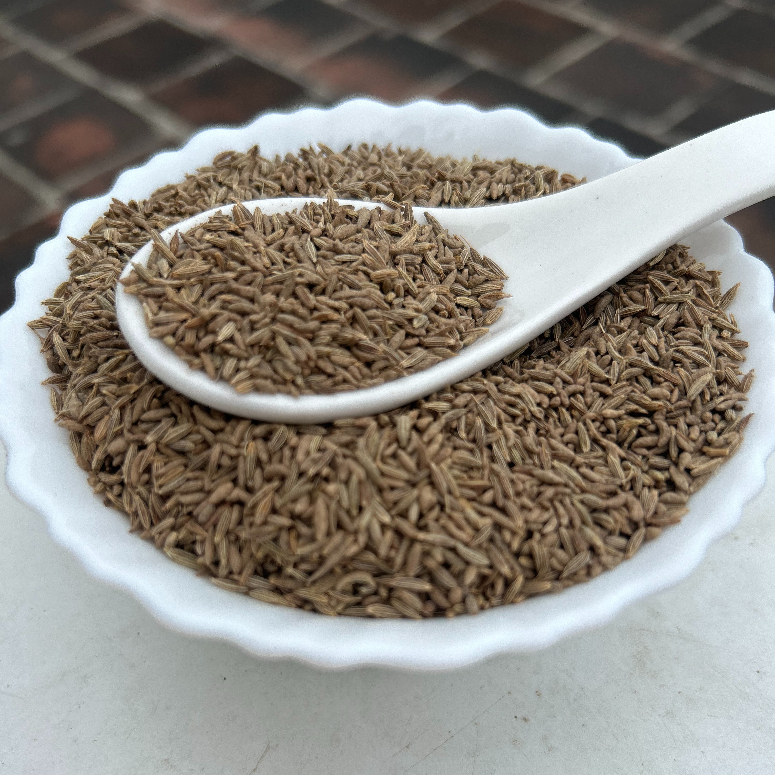 Wholesale price sortex cleaned cumin seeds jeera for food seasoning supply from India.