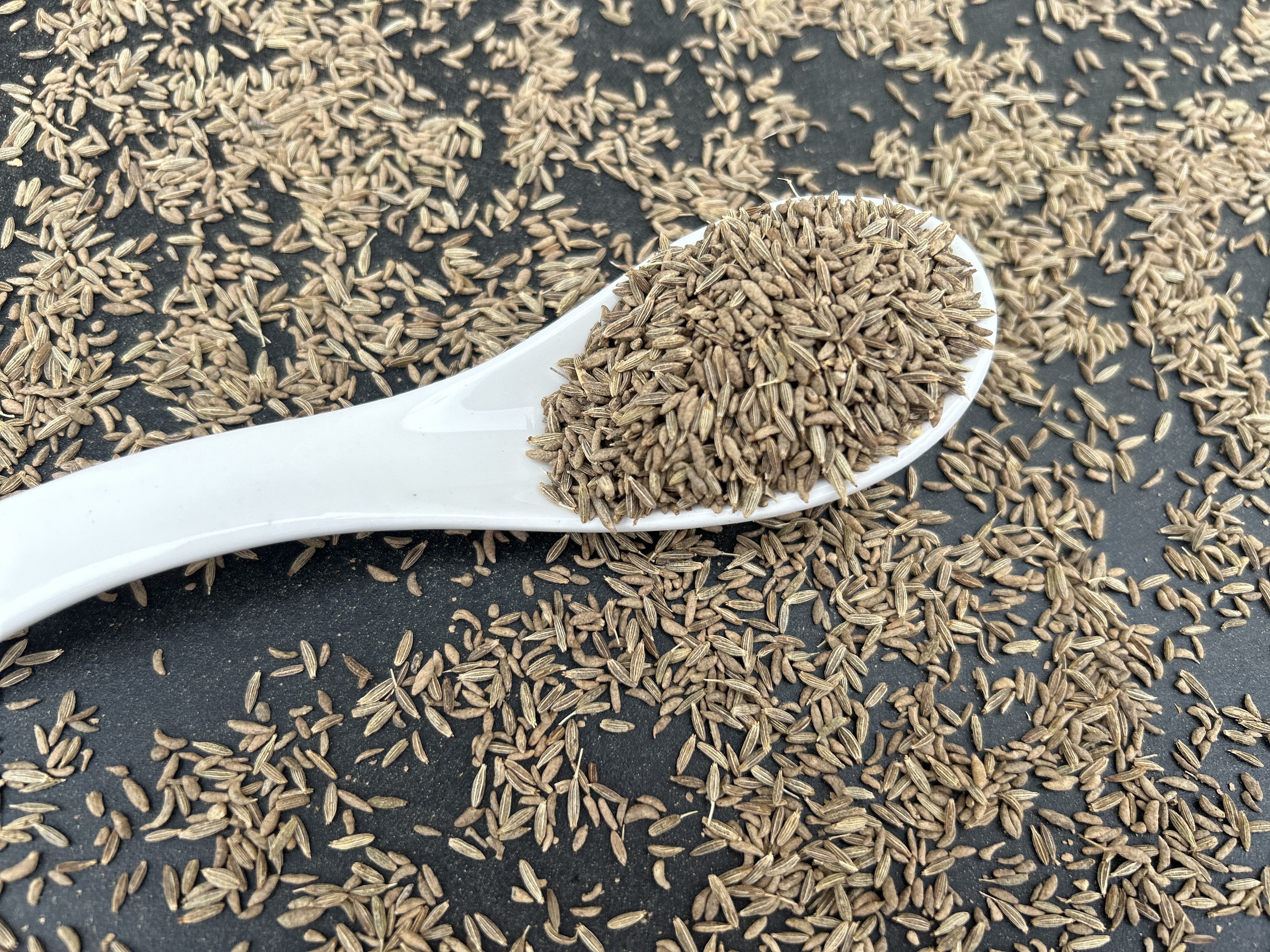 Indian cumin seeds jeera Sortex cleaned direct supply from factory to importer at wholesale price