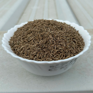 Certified grade 98% purity sortex cleaned Indian cumin long life seeds for food seasoning available.