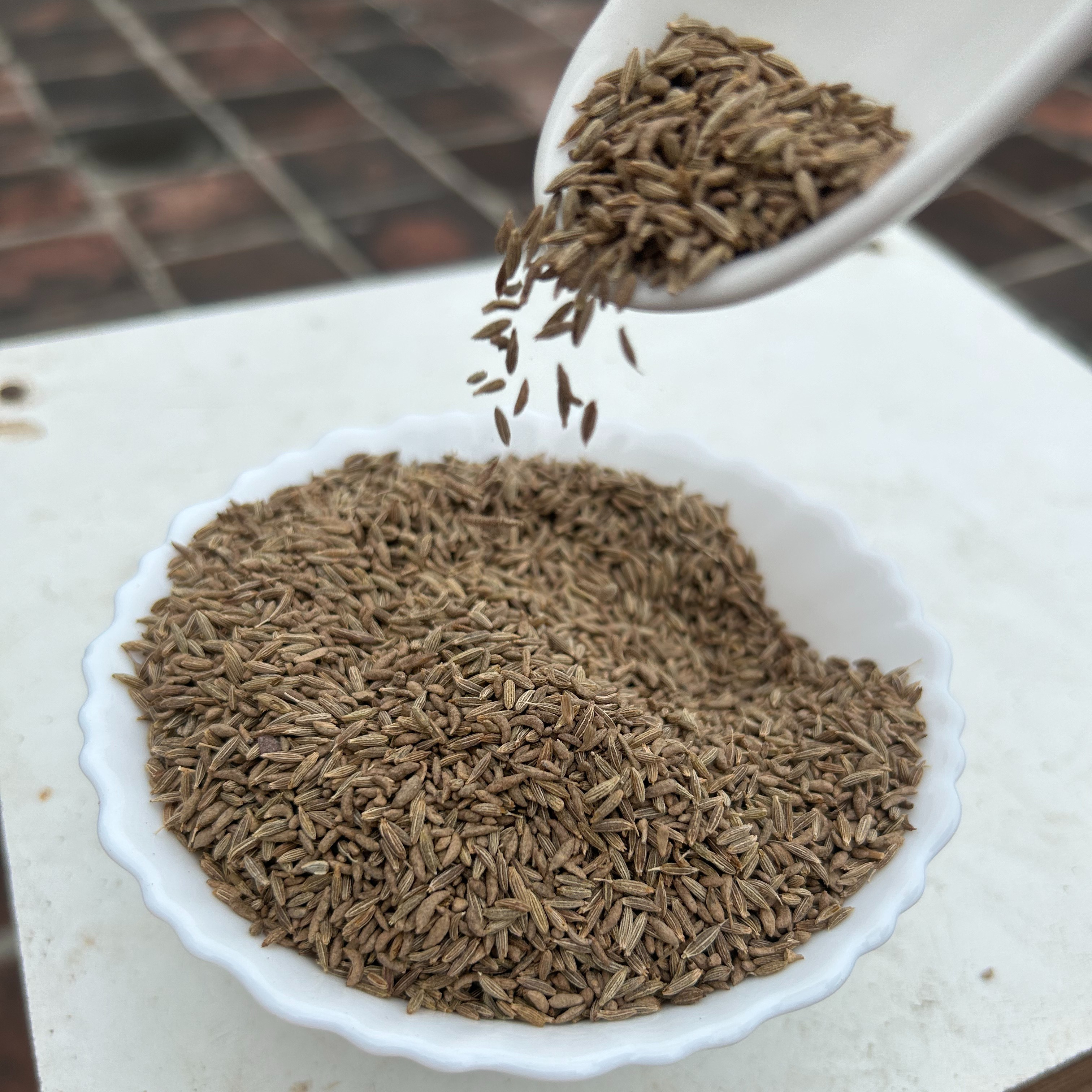 Export quality single spices and herbs Indian cumin seeds jeera at cheap price for Direct Importers.