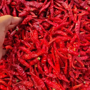 Hot Selling Dry Red Chilli Wholesale Price Fresh Color For Seasoning OEM Packaging from Indian Manufacturer