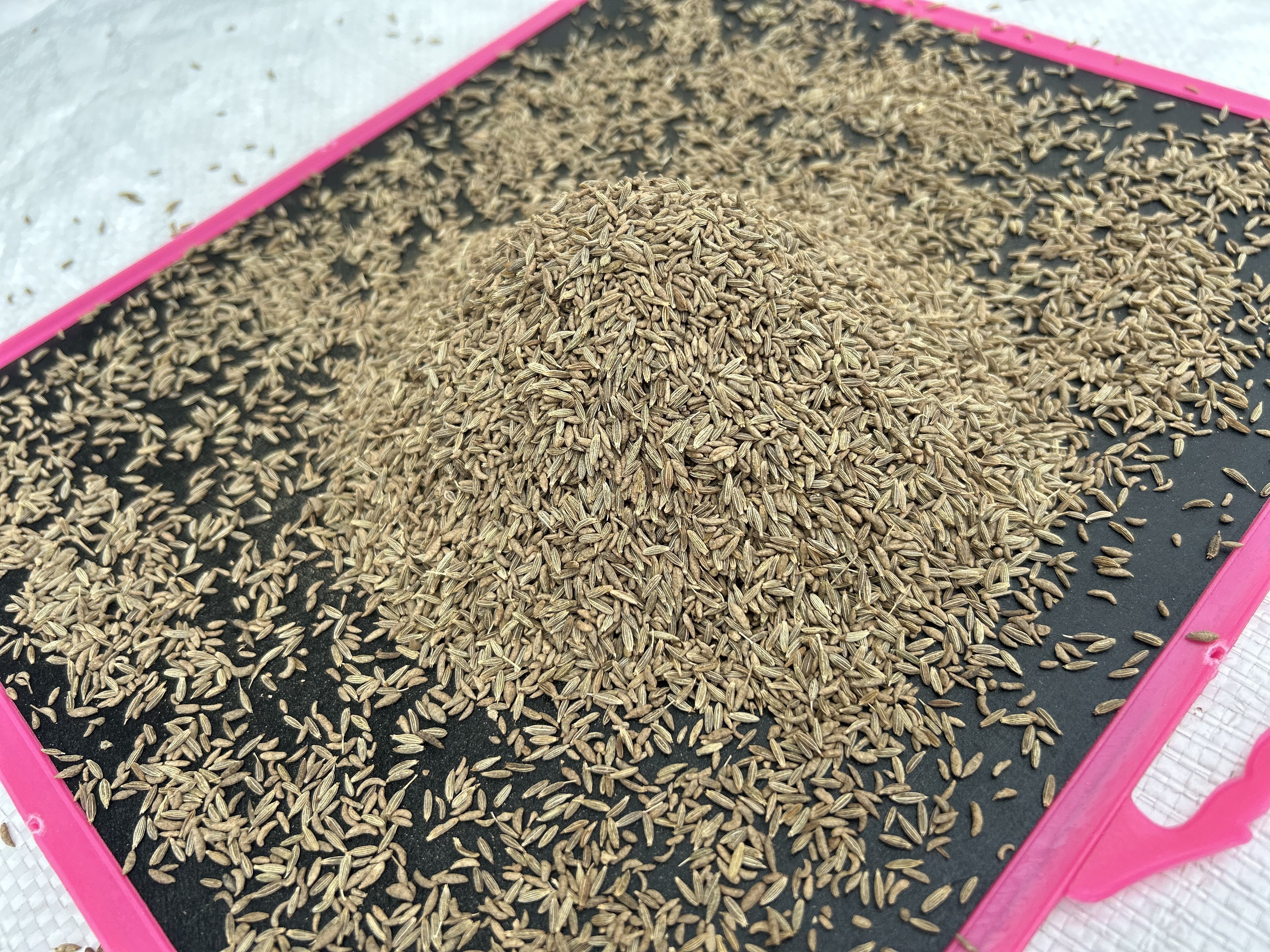 Best quality single spices and herbs cumin seeds jeera suppliers at wholesale price to Saudi Arabia